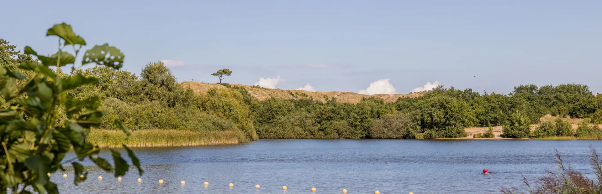T Rsep105vakantiehuis 8 personen Kijkduin Terschelling jpg