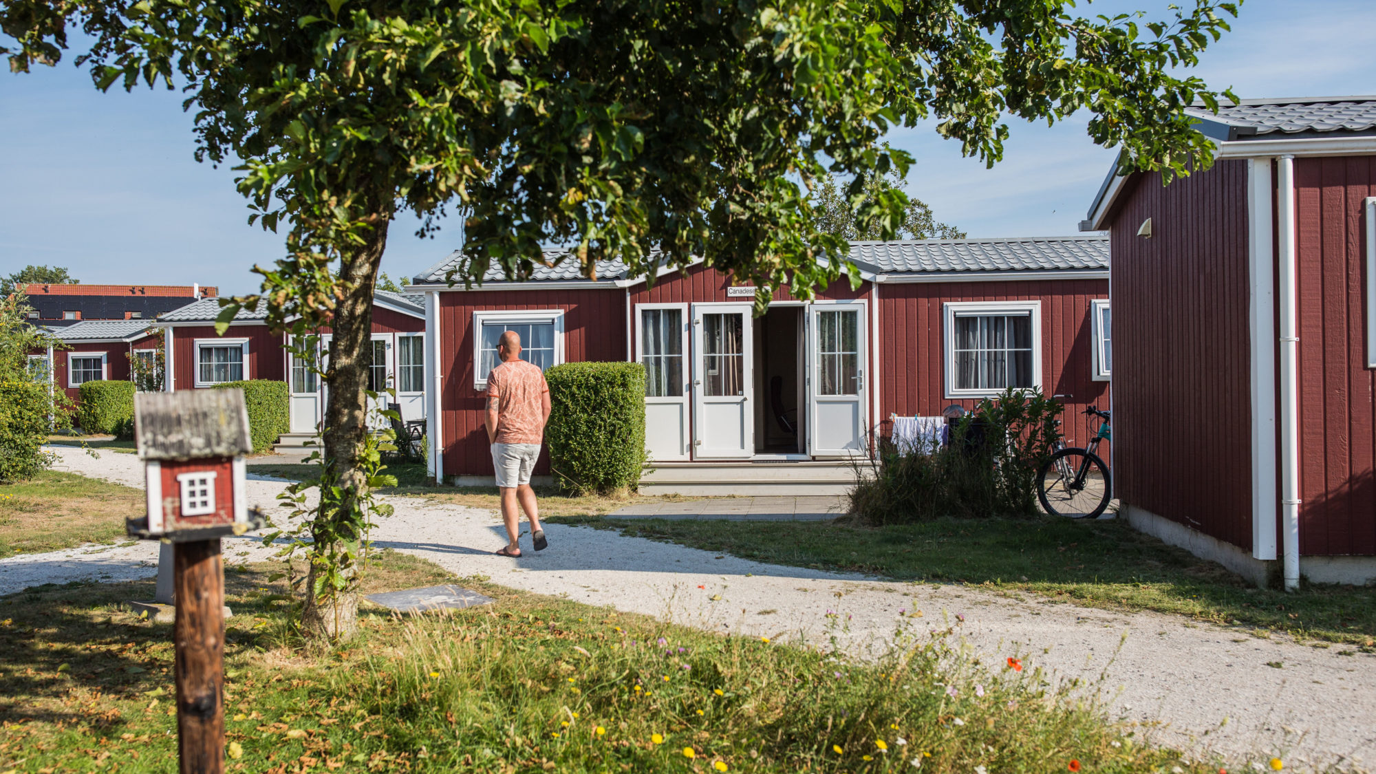 Beschut veld terras autovrij park zomer Duinbungalow Tjermelan Terschelling Recreatie
