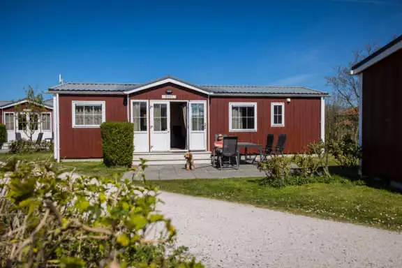 Terras hond Duinbungalow Tjermelan Terschelling Recreatie