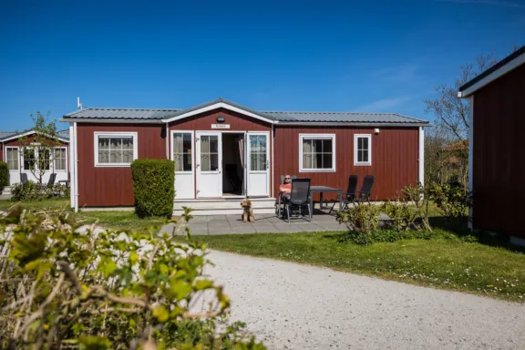 Terras hond Duinbungalow Tjermelan Terschelling Recreatie