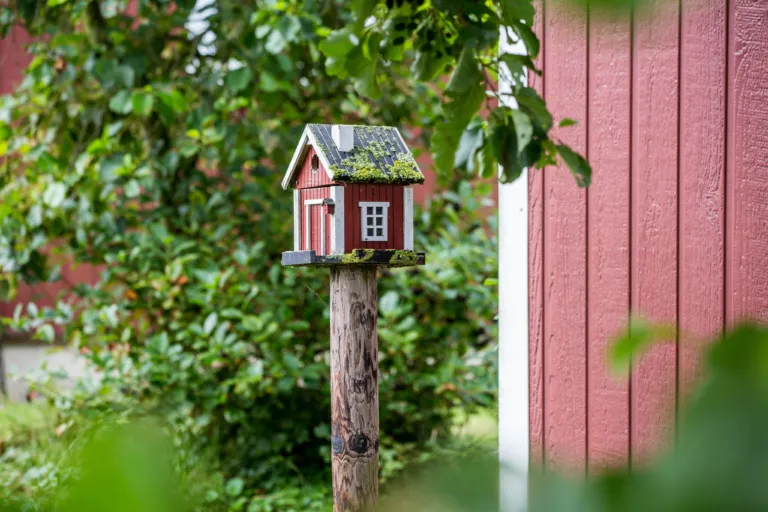 Vogelhuisje Duinbungalow Tjermelan Terschelling Recreatie