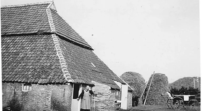 Terschelling boederij Tjermelan