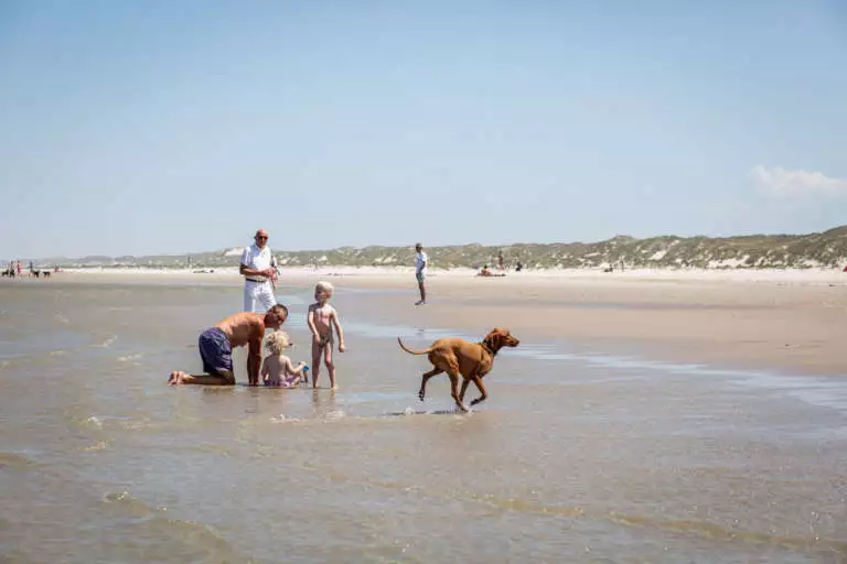 vakantie met kinderen gezin speelt in vloedlijn aan de kust Noordzee Terschelling