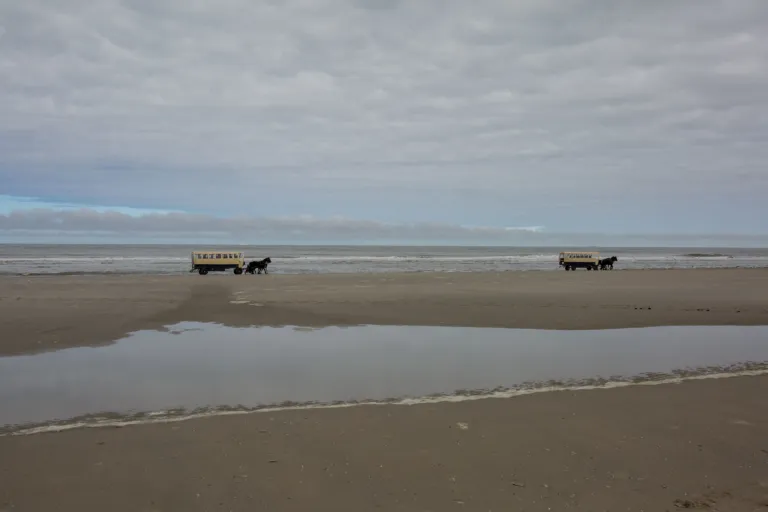 Huifkarren over het Noordzeestrand op Terschelling