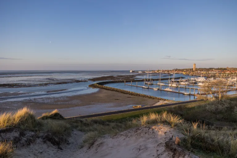 bluescruise zeilen schepen Terschelling