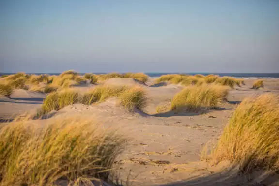 Terschelling Noordzeestrand marathon Berenloop