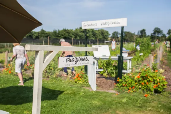 Pluktuin Zelf fruit groenten plukken Terschelling Recreatie vakantiehuis bungalow vakantiepark Tjermelan oosterend