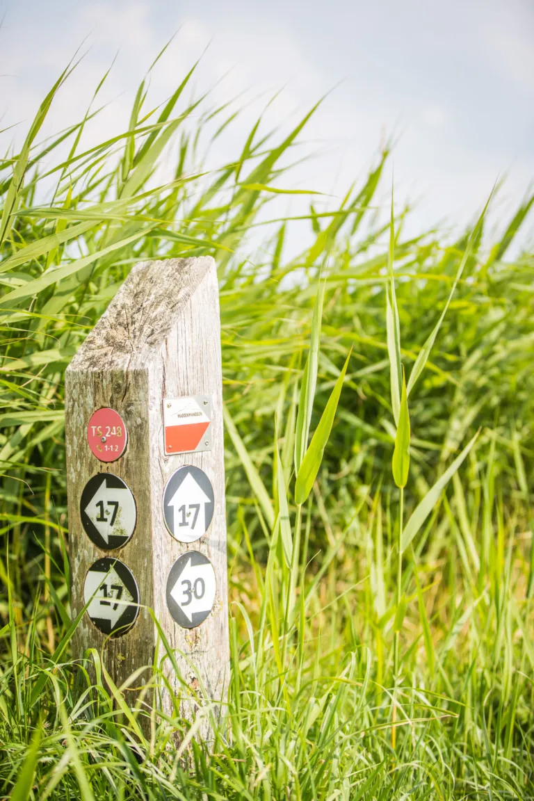 Fietsroute-Wandelroute-wandelvakantie-fietsvakantie-Wadden-Terschelling-Recreatie-vakantiehuis-bungalow-vakantiepark