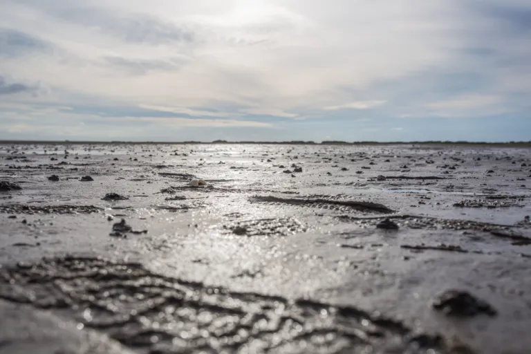 Voetstap op het Wad bij laag water op Terschelling