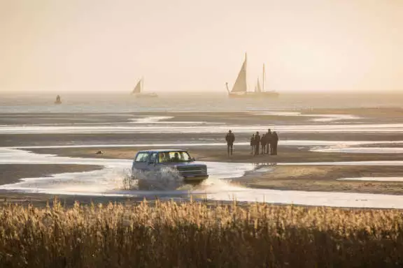 Groene strand Waddenstrand Vlieland Terschelling Recreatie vakantiehuis bungalow Terschelling