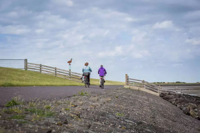 Polderprachtroute Waddendijk 2 fietsers vogels kijken vogelaars