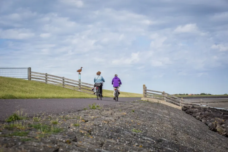 Polderprachtroute Waddendijk 2 fietsers vogels kijken vogelaars