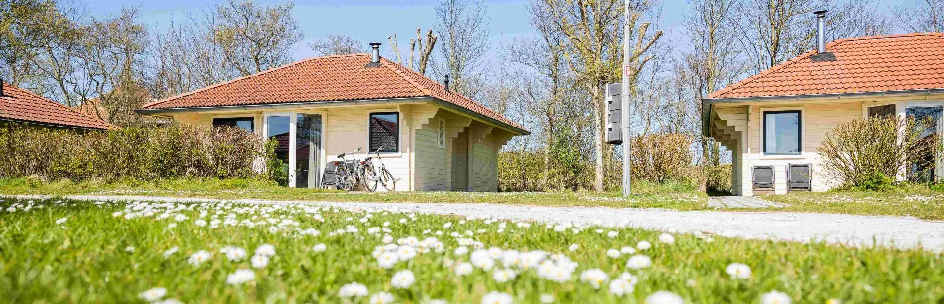 Terschelling villabungalow madeliefjes w