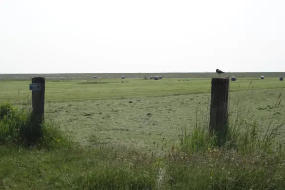 DSC09201 DESKTOP34 A