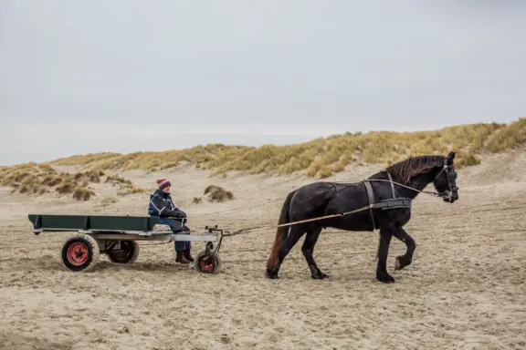 T Rdecember 35 DESKTOP34 A