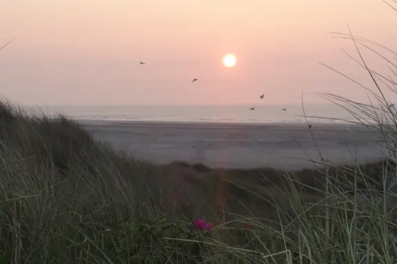 DSC09319 DESKTOP34 A 2